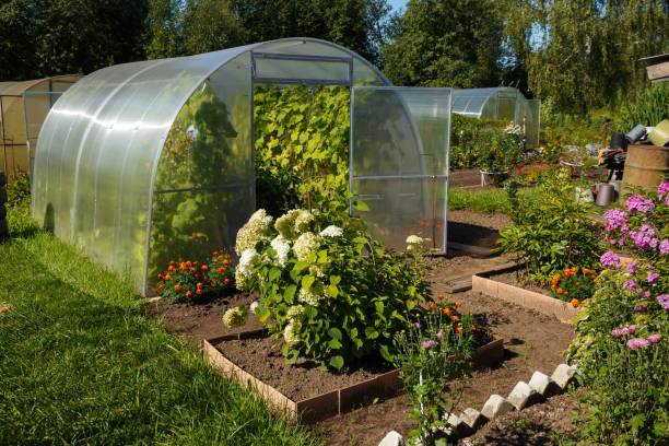 Build Your Own Polytunnel: A DIY Guide