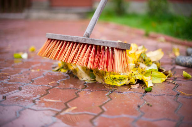 Best Lawn Sweeper: Efficiently Clearing Yard Debris