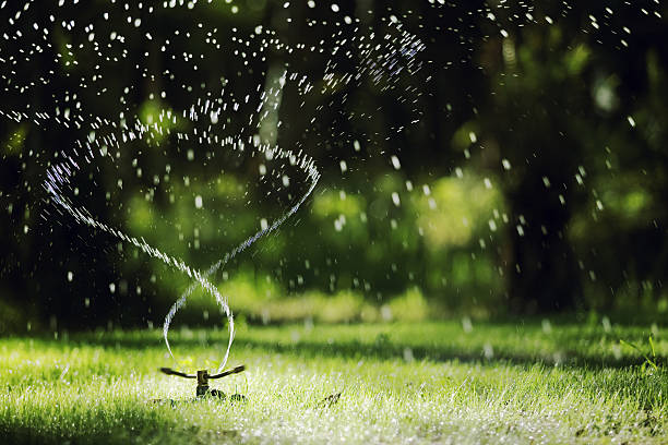 Best Lawn Sprinkler: Keeping Your Lawn Hydrated