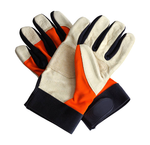 Best Work Gloves: Protecting Your Hands in the Garden