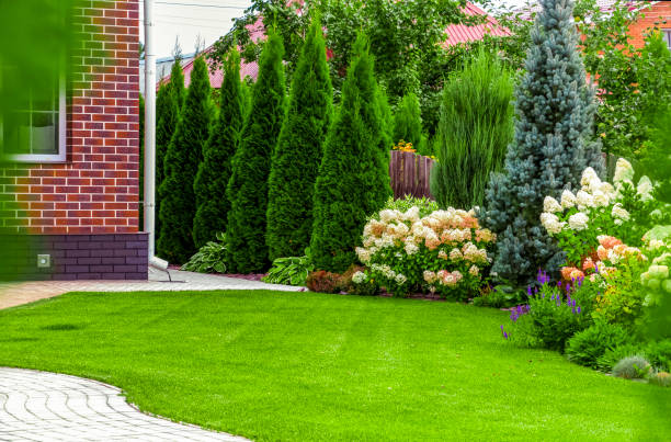 Best Landscaping and Design Books: Transforming Your Yard - Planters Realm