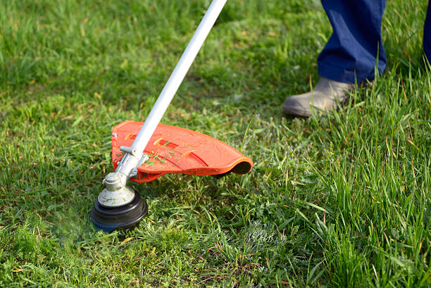 Lawn Edger: Perfecting the Edges of Your Lawn
