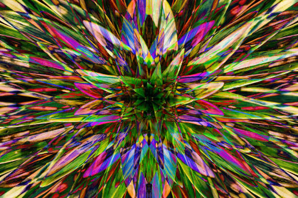Kaleidoscope Abelia: A Colorful Shrub for Your Landscape