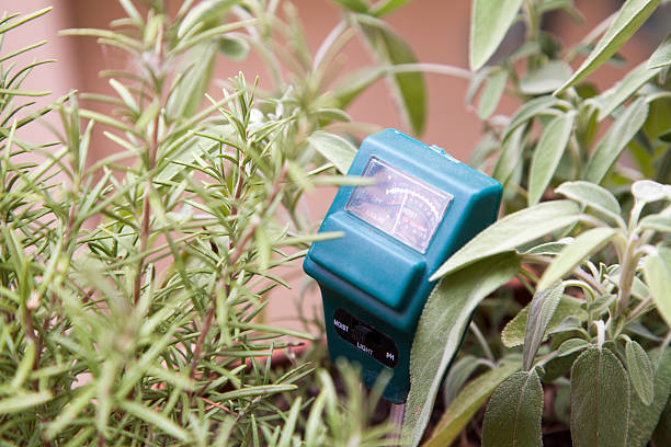 Best Soil Moisture Meter: Monitoring Your Garden’s Needs