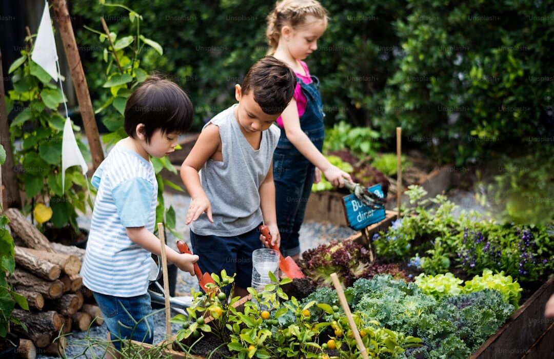 10 Easiest Vegetables to Grow from Seed (Perfect for Beginners) - gardening guide by Planters Realm