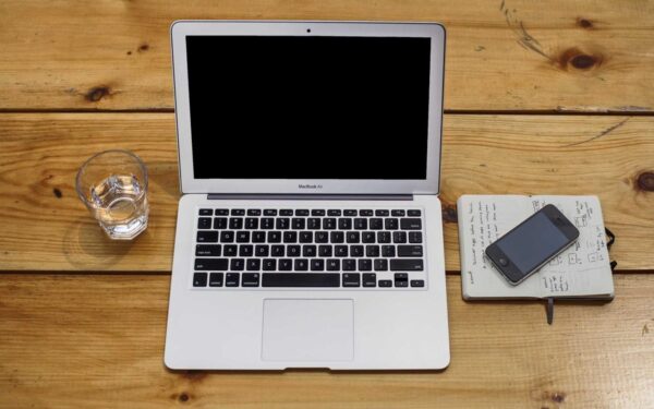 12 Vegetables That Grow Well in Shade