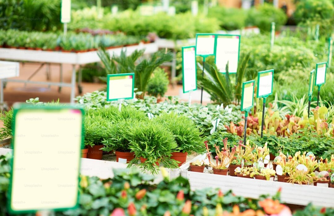 15 Best Vegetables for Container Gardens (High Yields in Small Spaces) - gardening guide by Planters Realm