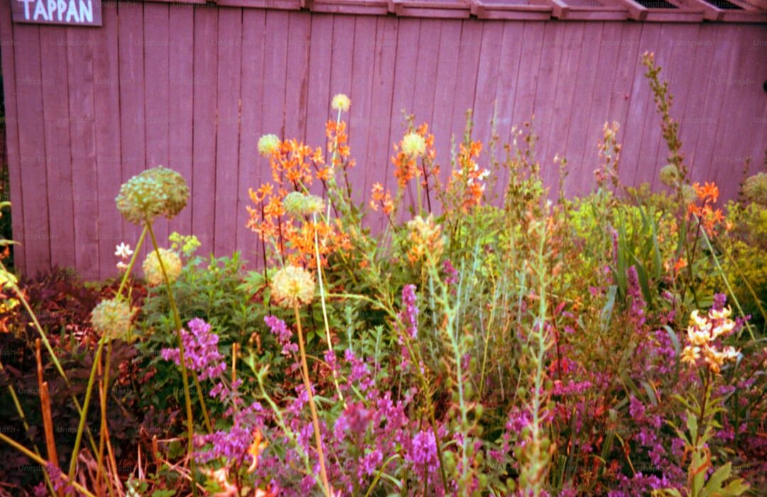 19 Purple Flowers for Bold Garden Color - gardening guide by Planters Realm