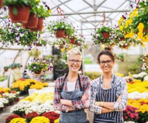 21 White Flowers for a Peaceful Garden - gardening guide by Planters Realm