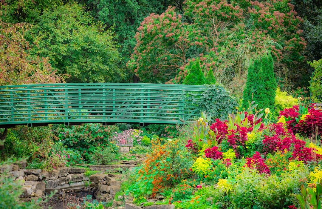 Accessible Garden Path Design: Surfaces and Walkways