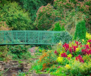 Accessible Garden Path Design: Surfaces and Walkways