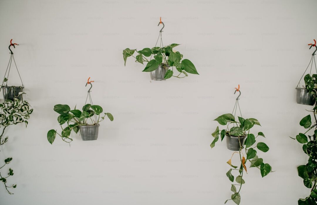 Air Layering: Advanced Propagation for Woody Plants