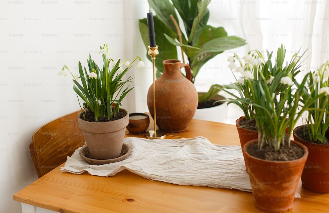 Best Air-Purifying Houseplants: Science-Backed Clean Air Plants