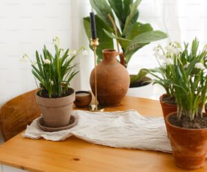 Best Air-Purifying Houseplants: Science-Backed Clean Air Plants