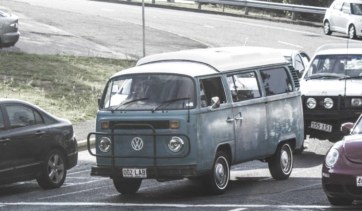 Best Cold-Hardy Herbs for Fall and Winter Gardening