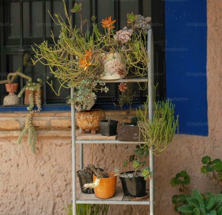 Best Dwarf Vegetable Varieties for Small Space and Balcony Gardens