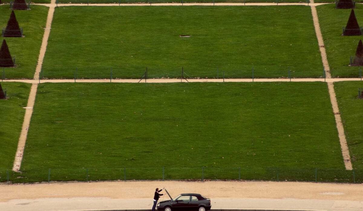 Best Fruit Trees for Small Yards: Compact and Dwarf Varieties