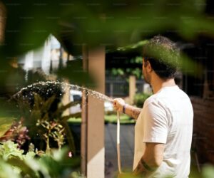 Best Garden Hoses: Tested for Durability and Performance - gardening guide by Planters Realm