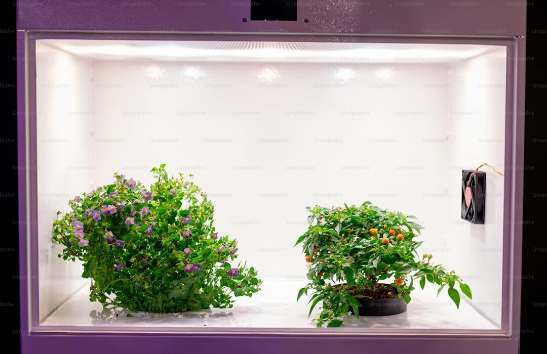 Best Grow Lights for Seed Starting: LED vs Fluorescent Comparison
