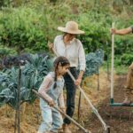 Best Mulch for Vegetable Gardens: What to Use and Avoid