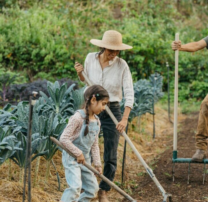 Best Mulch for Vegetable Gardens: What to Use and Avoid