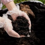 Best Organic Soil Amendments: What to Add and When