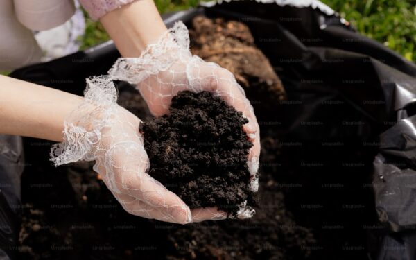 Best Organic Soil Amendments: What to Add and When