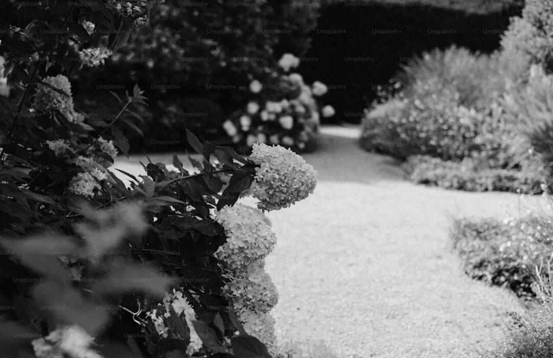 Best Ornamental Grasses for Gardens and Landscapes