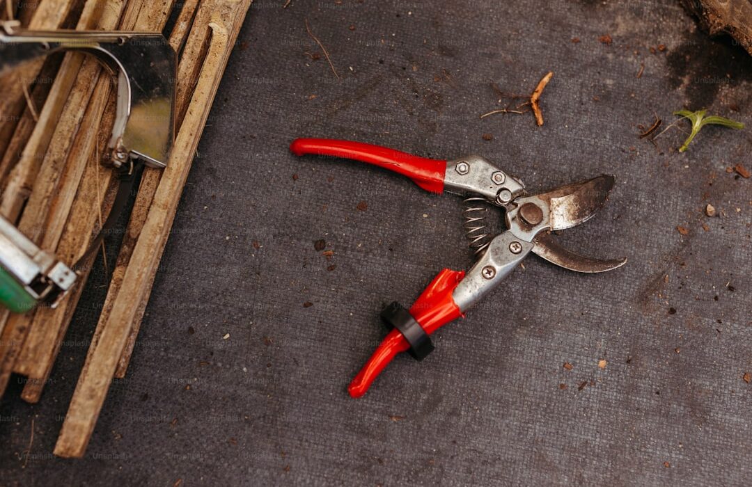 Best Pruning Shears: Top 10 Reviewed and Compared (2024) - gardening guide by Planters Realm