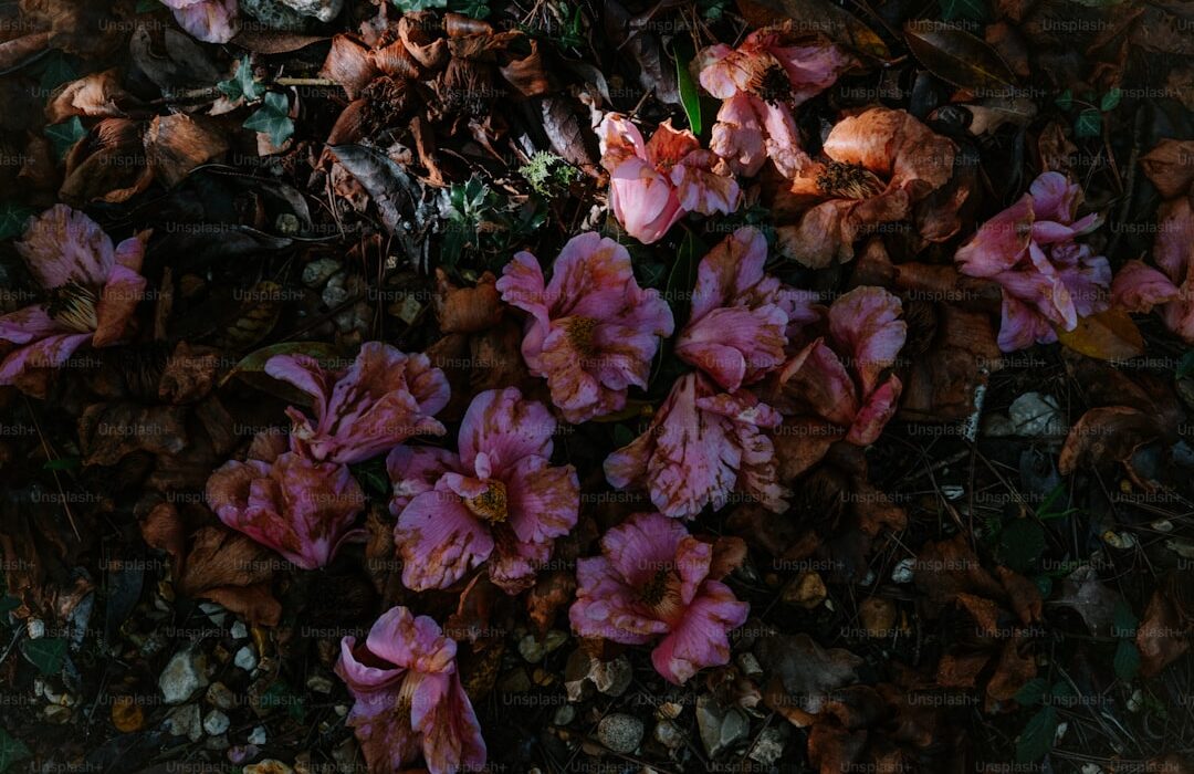 Best Shade-Tolerant Flowers: Color for Shady Garden Areas