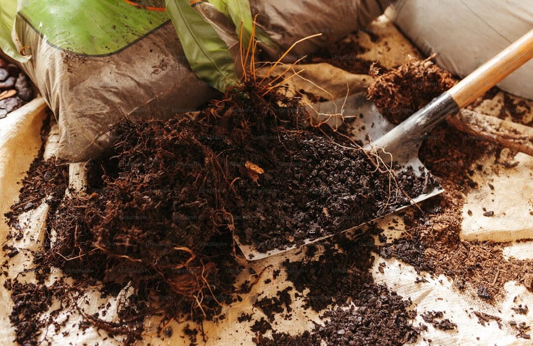 Best Soil Mix for Raised Garden Beds: The Perfect Formula