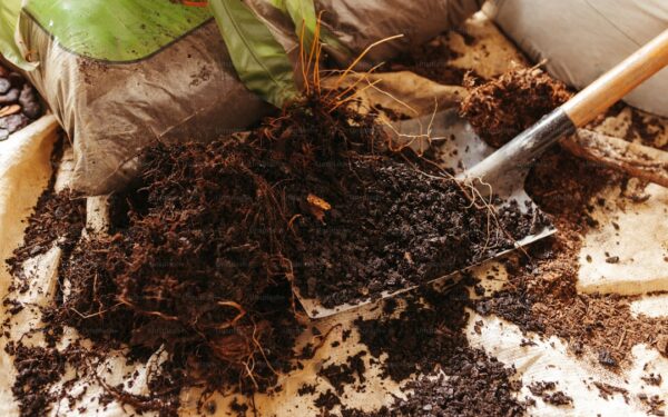 Best Soil Mix for Raised Garden Beds: The Perfect Formula