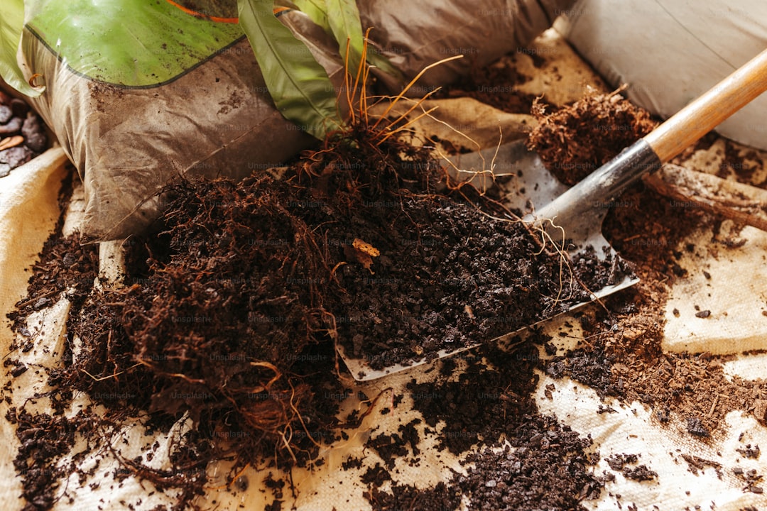 Best Soil Mix for Raised Garden Beds: The Perfect Formula - Planters Realm