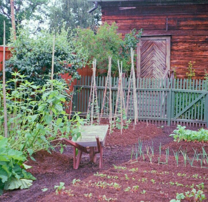 Best Soil Mix for Raised Garden Beds: The Perfect Recipe