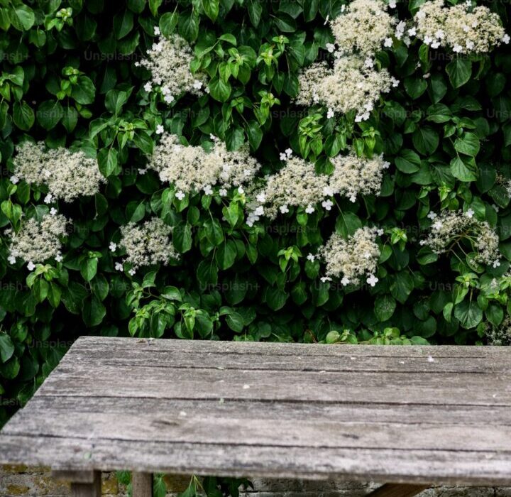 Build a Garden Bench: Simple Weekend Woodworking Project