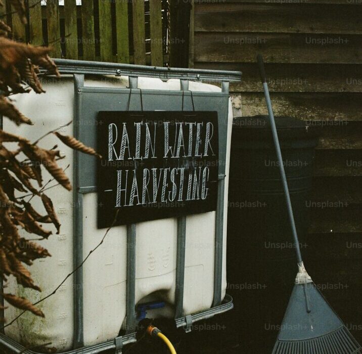 Build a Rain Barrel System: Collect Free Water for Your Garden