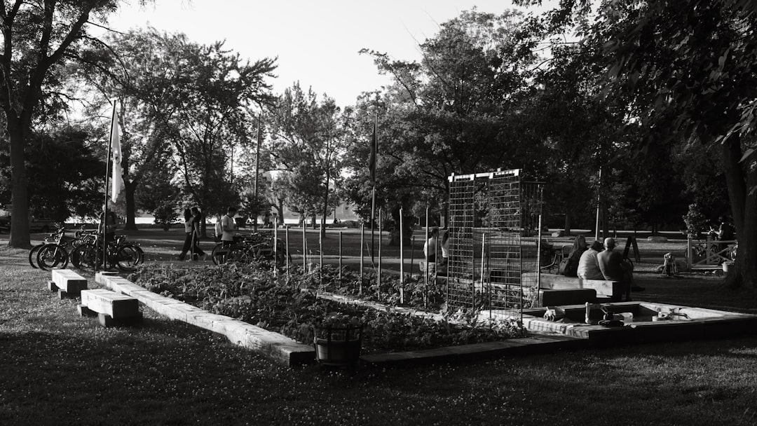 Building a DIY Greenhouse on a Budget