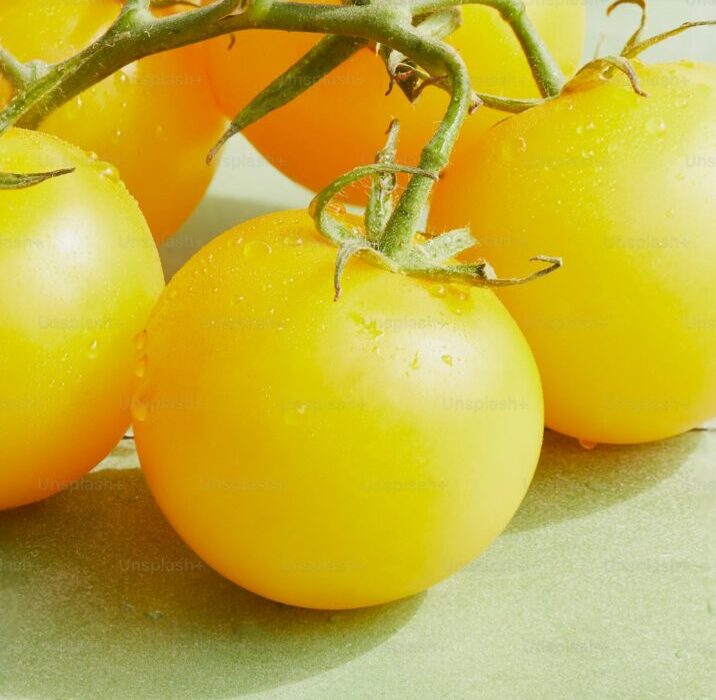 Cherry Tomato Growing Guide: Best Varieties for Maximum Yield