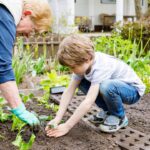 Companion Planting Calendar: What to Pair Month by Month