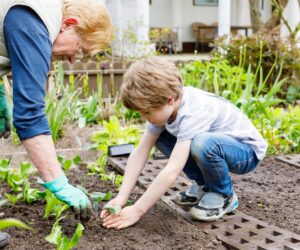 Companion Planting Calendar: What to Pair Month by Month