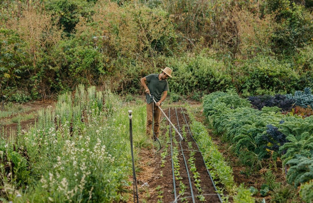 Companion Planting Chart: The Complete Guide to Plant Pairings