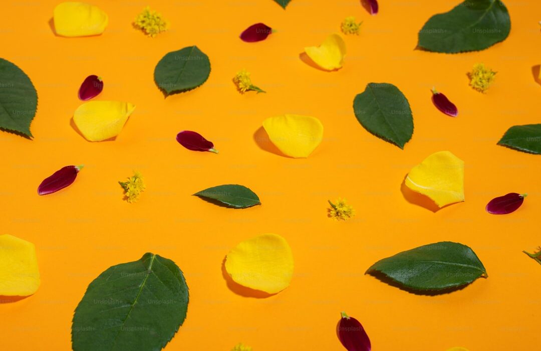 Companion Planting for Pest Control: Natural Ways to Protect Your Garden