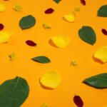 Companion Planting for Pest Control: Natural Ways to Protect Your Garden