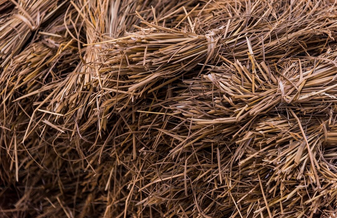 Complete Guide to Garden Mulch: Types, Benefits, and Application