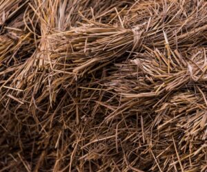 Complete Guide to Garden Mulch: Types, Benefits, and Application