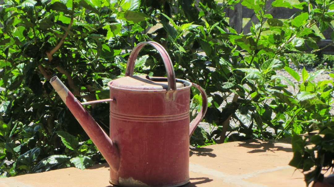 Compost Tea: How to Brew Liquid Gold for Your Garden