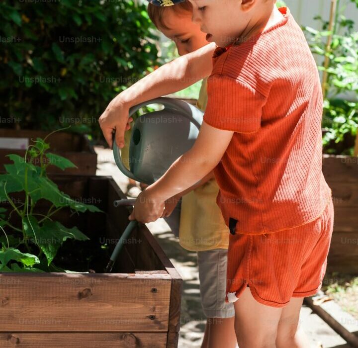 Composting for Beginners: Start Your First Compost Pile Today