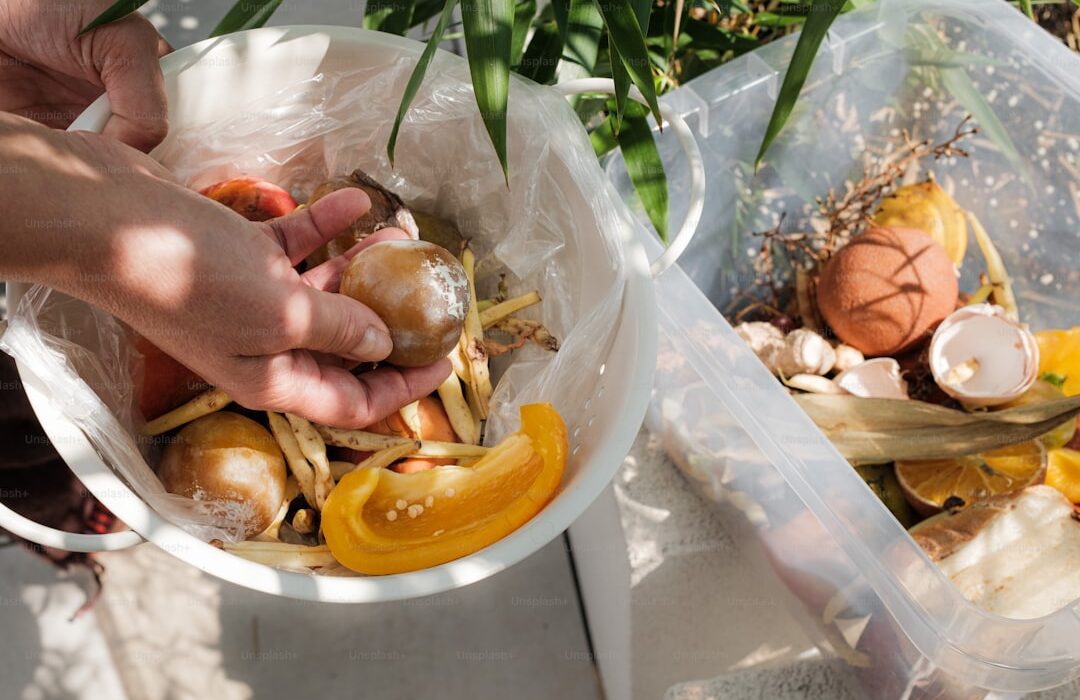 Composting for Beginners: Turn Kitchen Scraps into Garden Gold