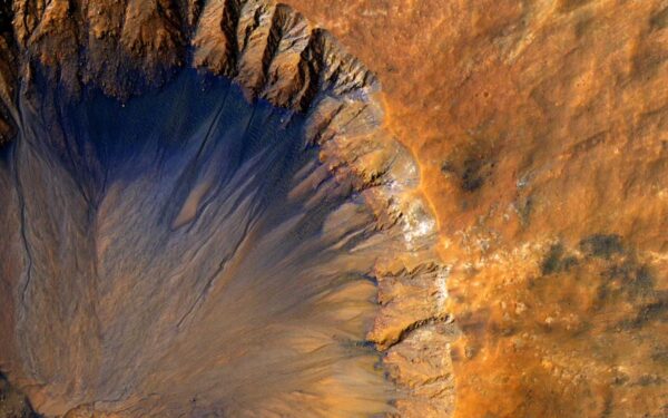 Container Fruit Trees: 13 Best Varieties for Patio Growing