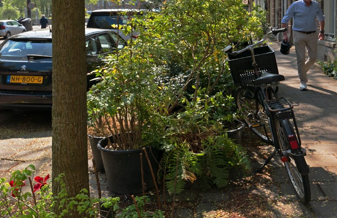 Container Garden Design for Seated Gardeners